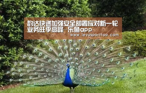 乐鱼体育
