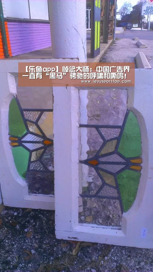 乐鱼体育